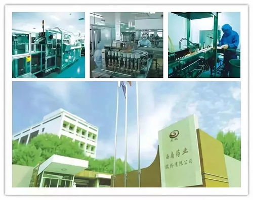 改革开放四十年 沙坪坝工业发展与网络技术的融合创新